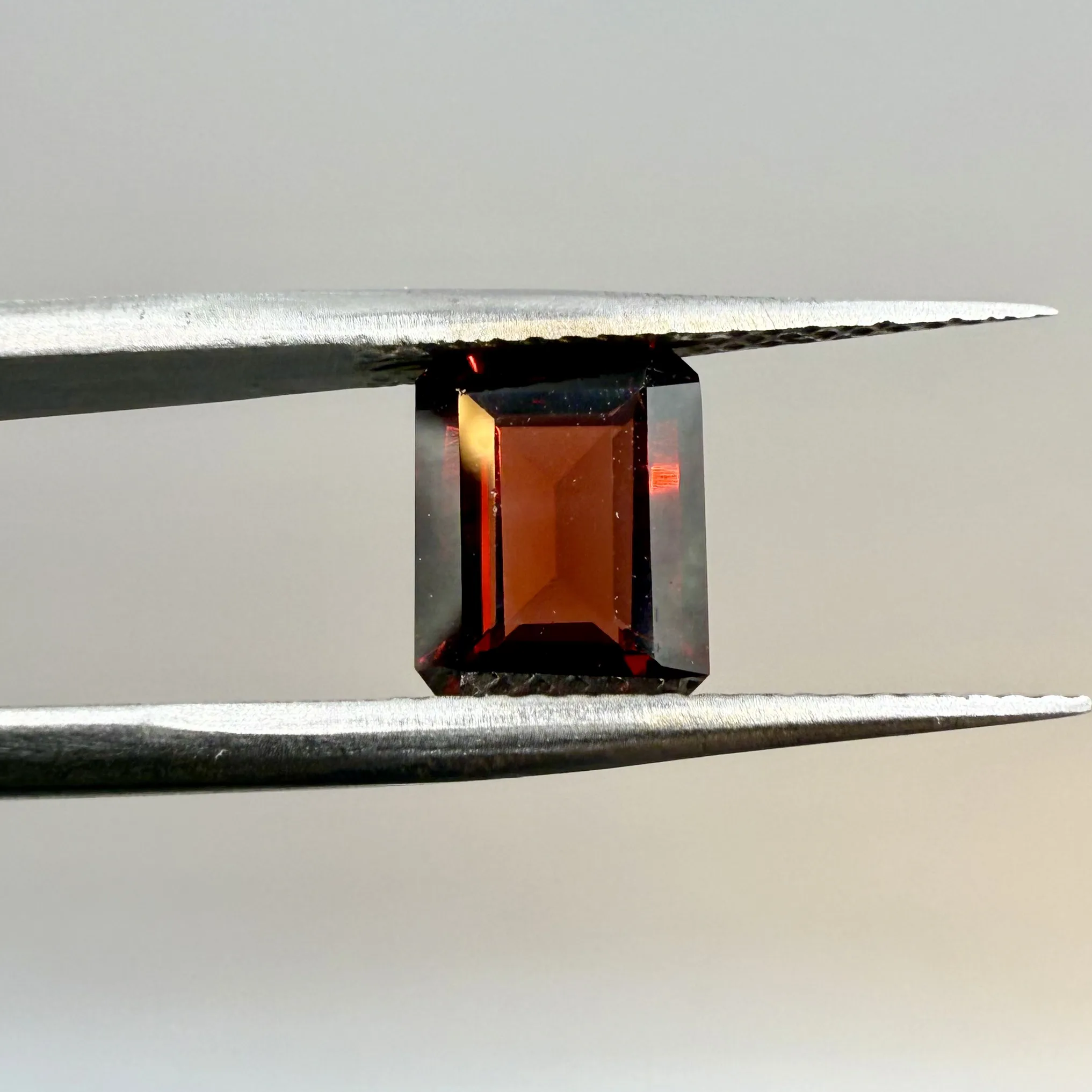 Garnet (1)